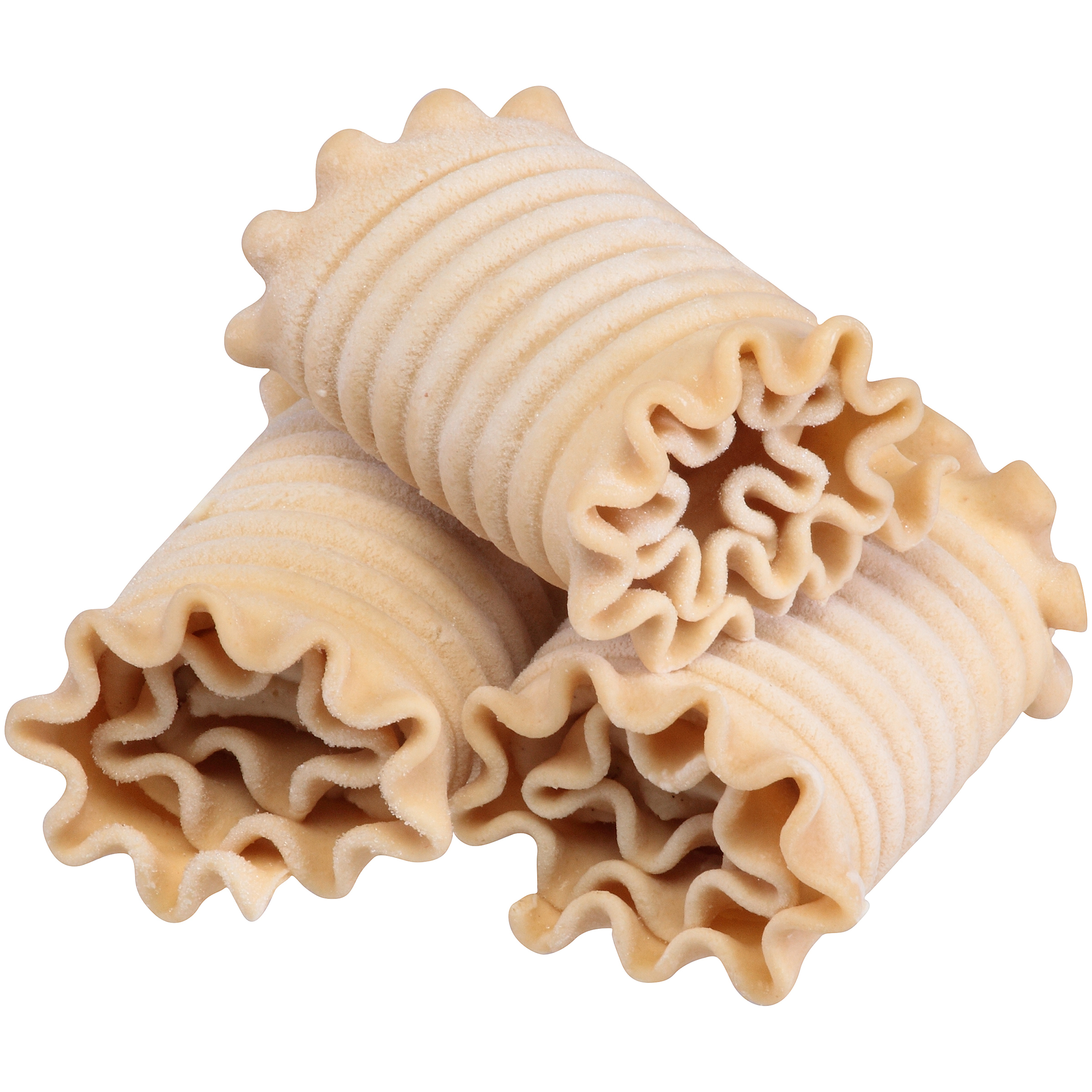 00041308310282 A1 CC