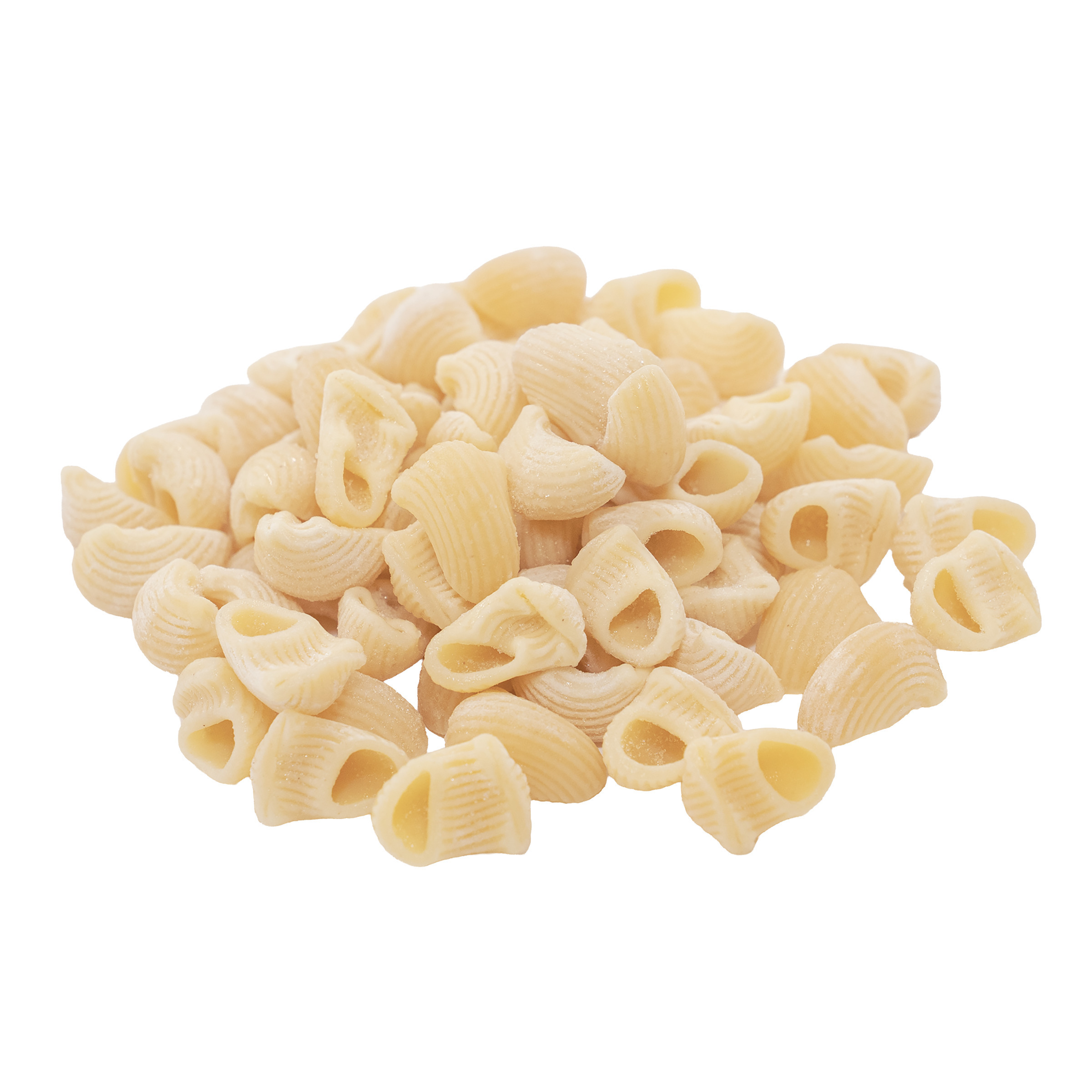 10041308270396 A1 CC