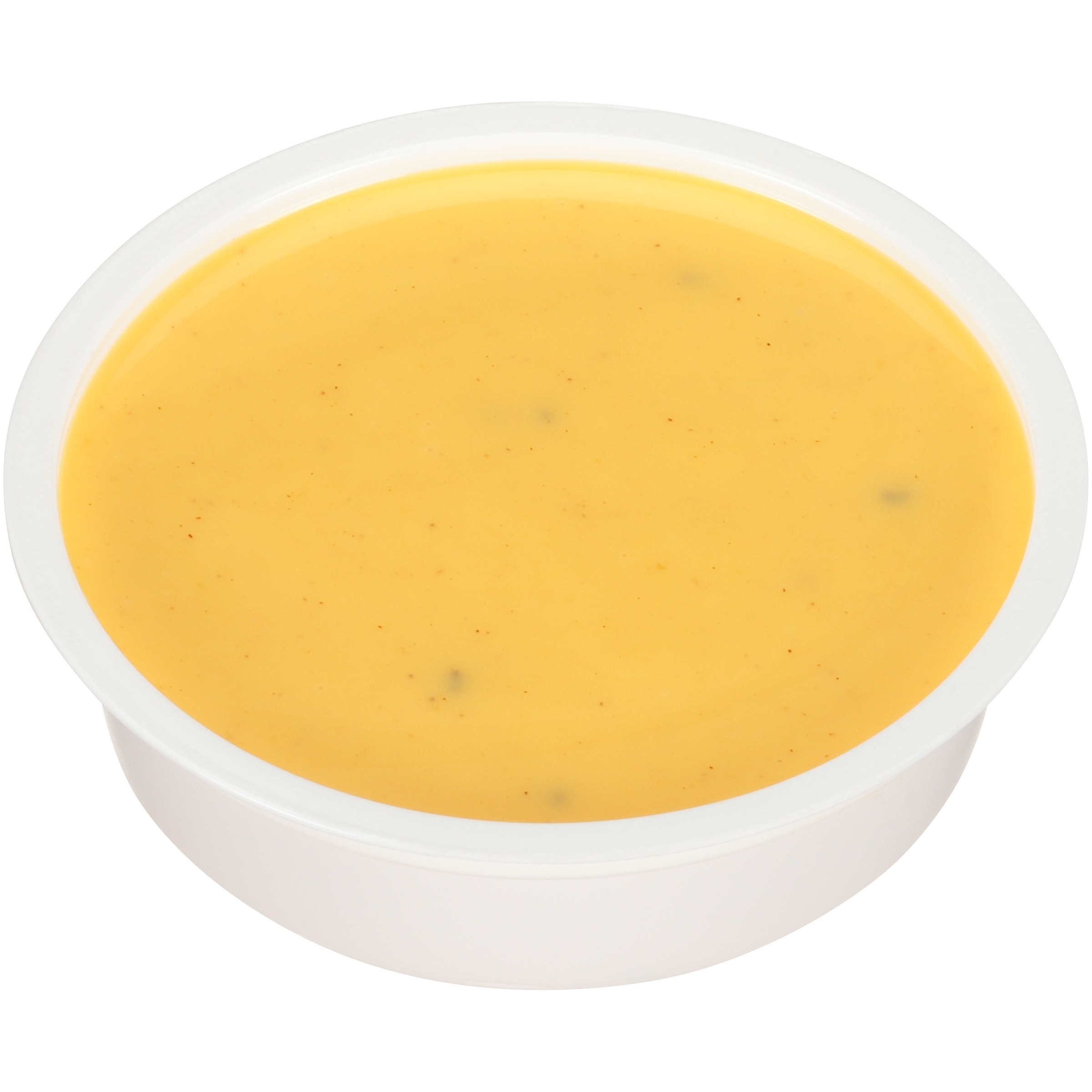 10070200812342 A1 CE