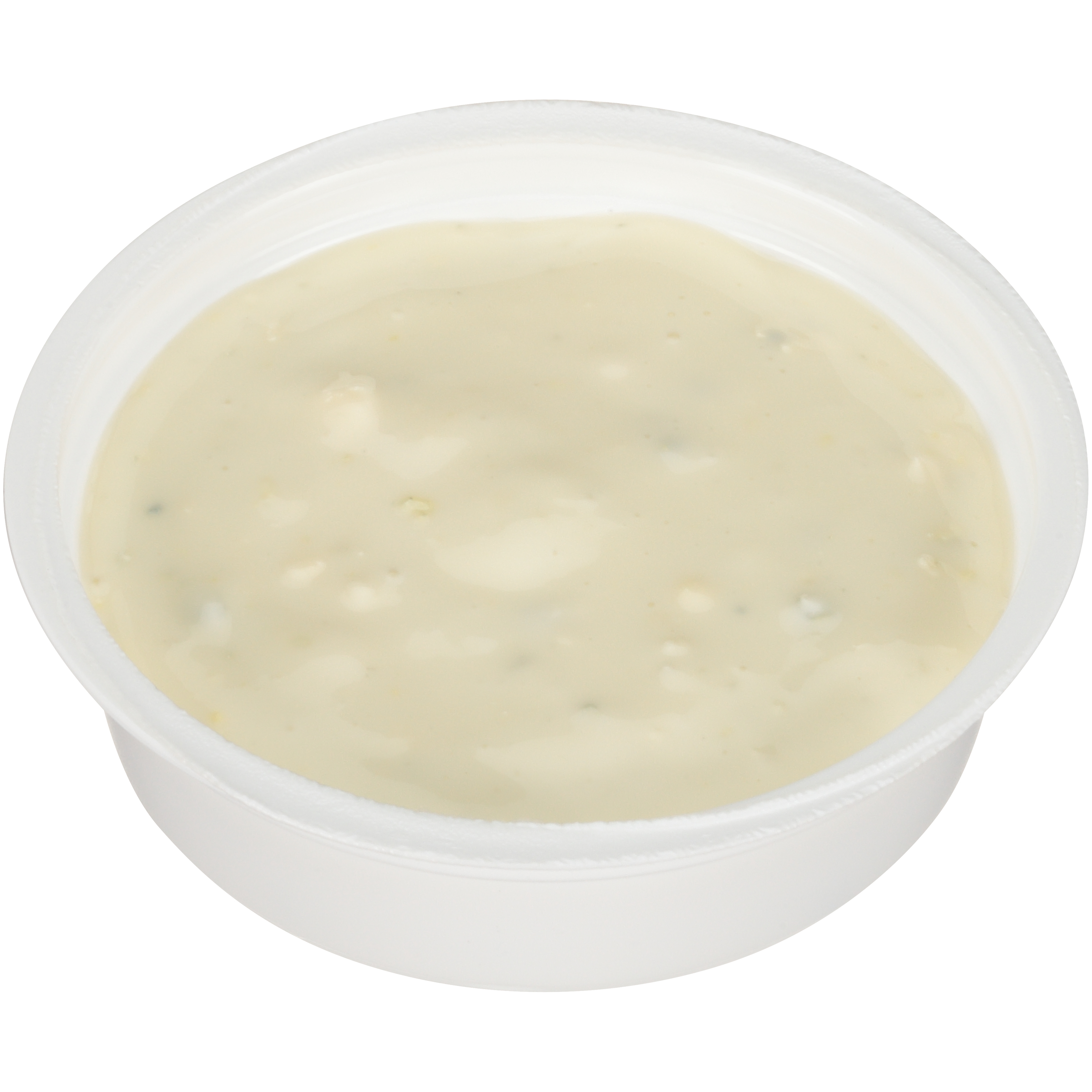 10070200819228 A1 CE