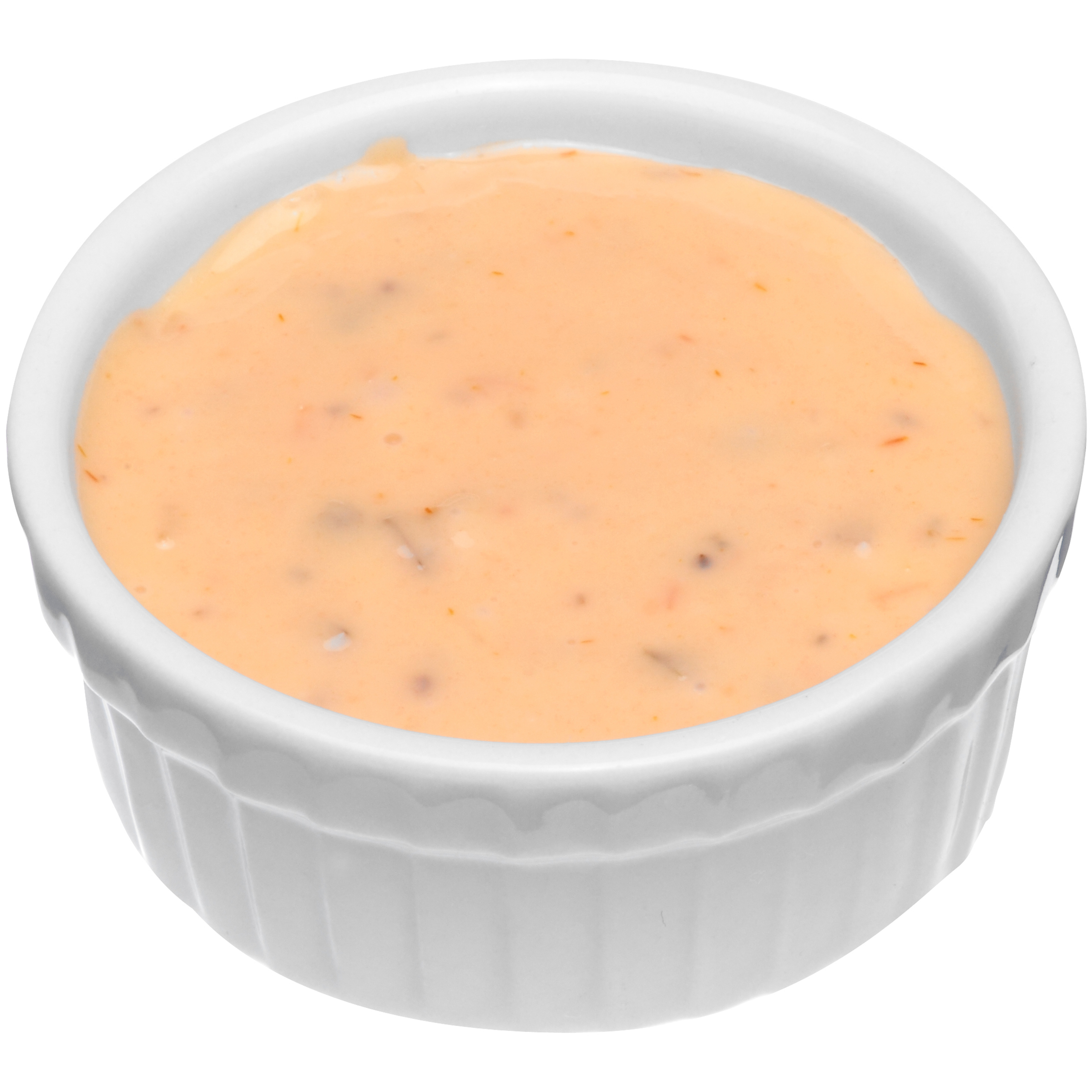 10070200830001 A1 CE