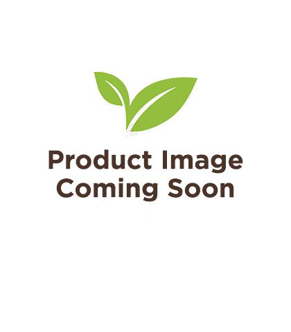 Product image coming soon